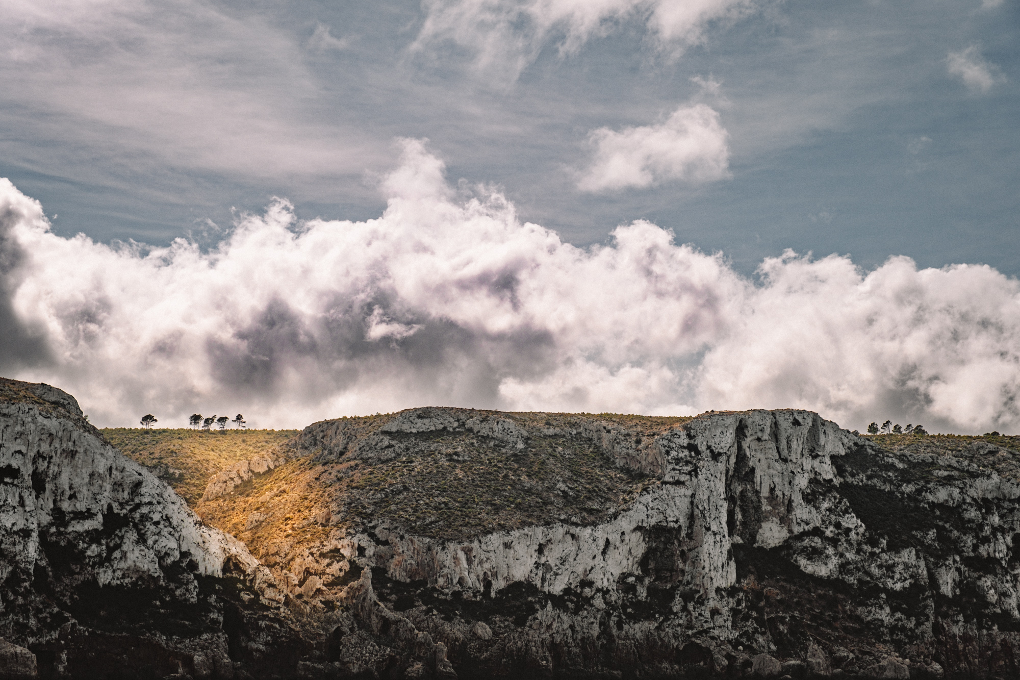 placeholder image sq