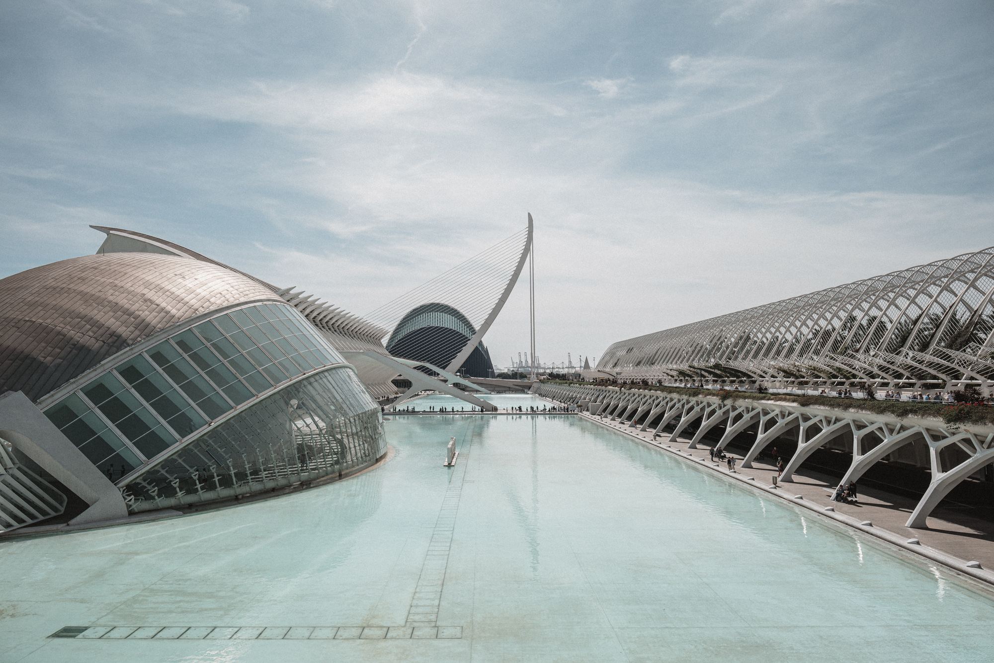 placeholder image sq