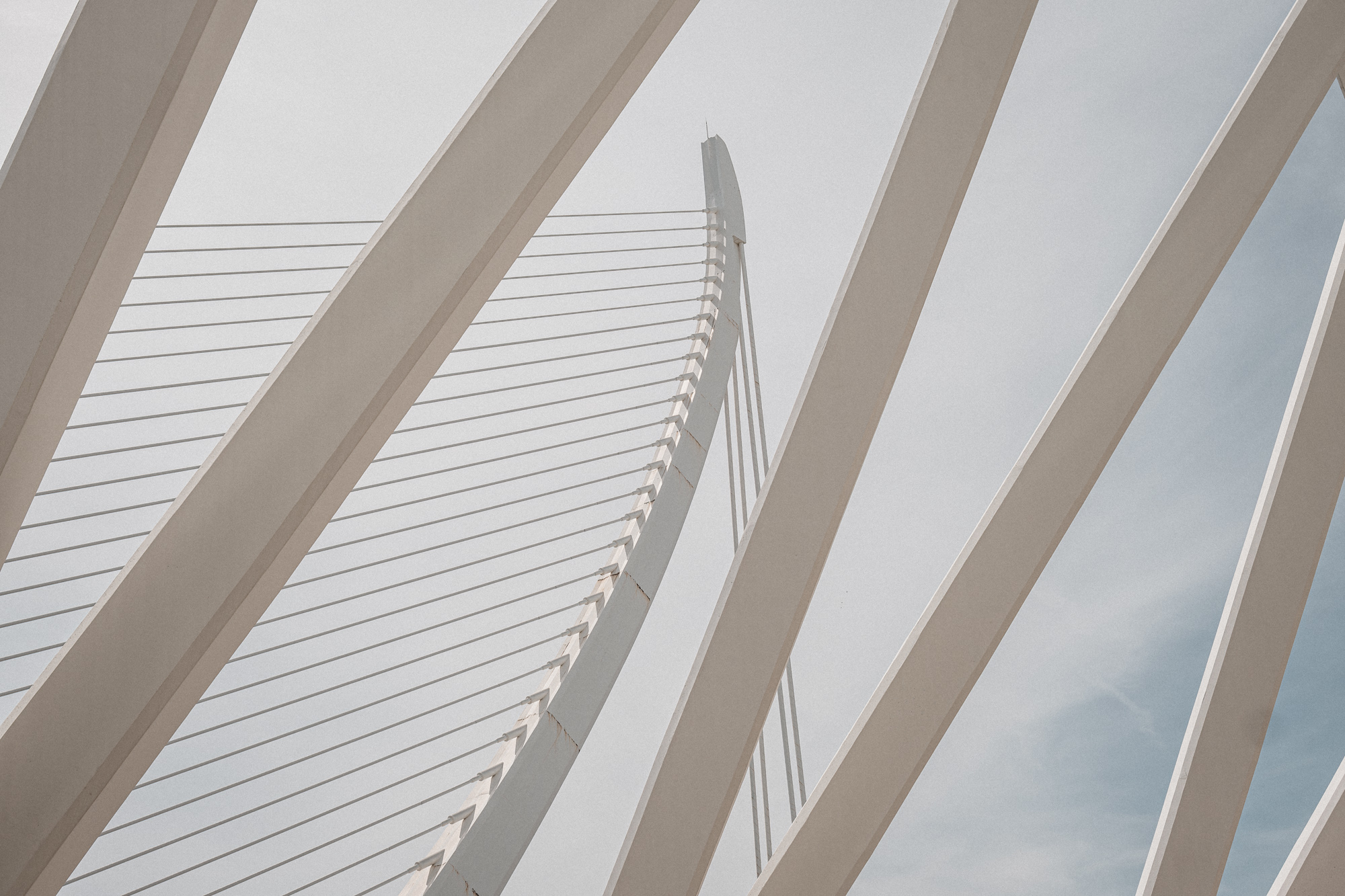 placeholder image sq