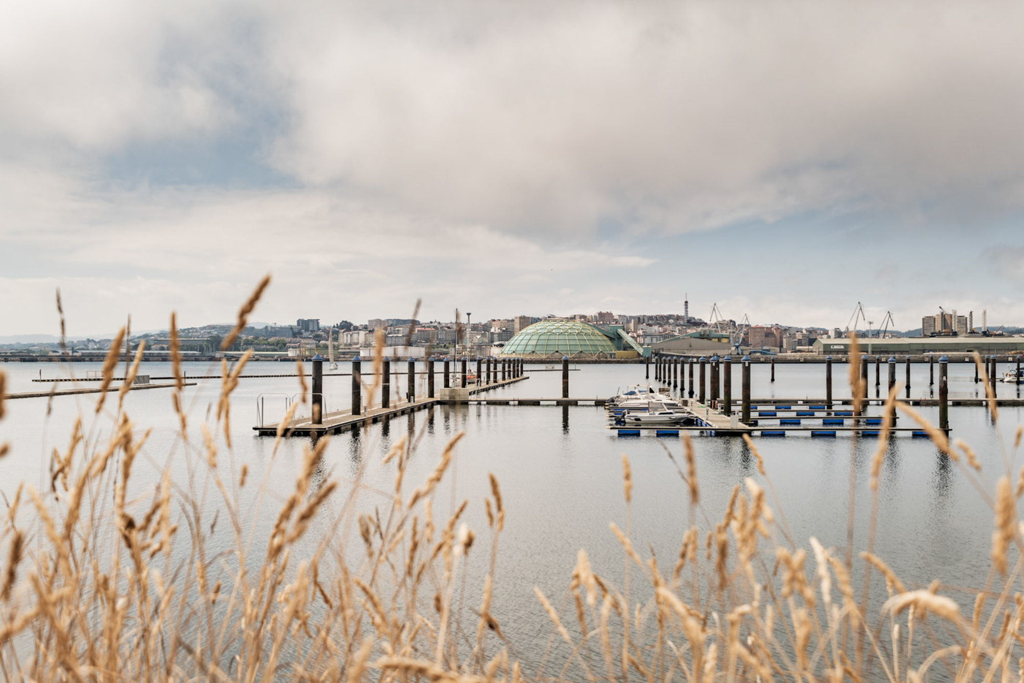 placeholder image sq